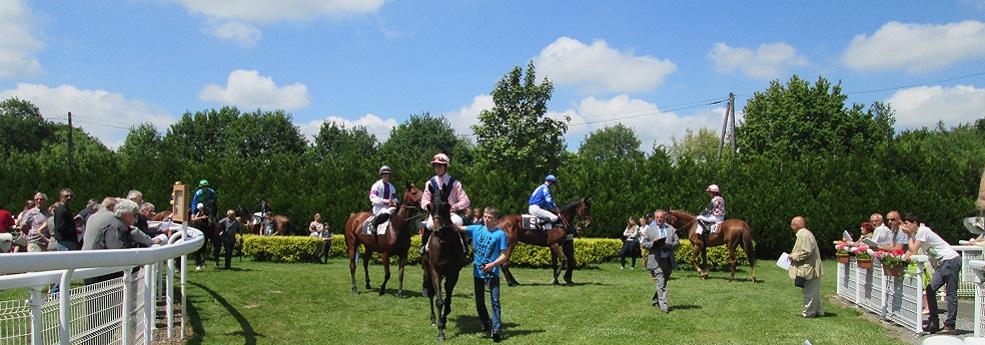 Cheval du jour Pronostic pmu gratuit