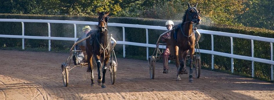 Prix Austria - course pmu du 30 septembre 2016