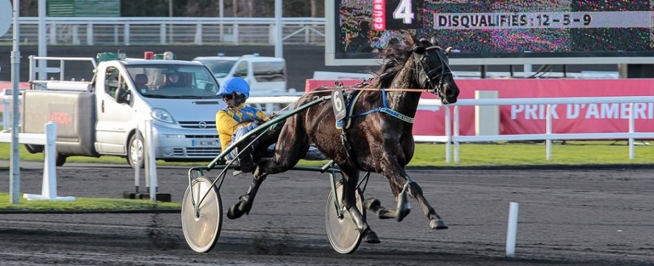 Prix Jean Dumouch - course pmu du dimanche 18 décembre 2016