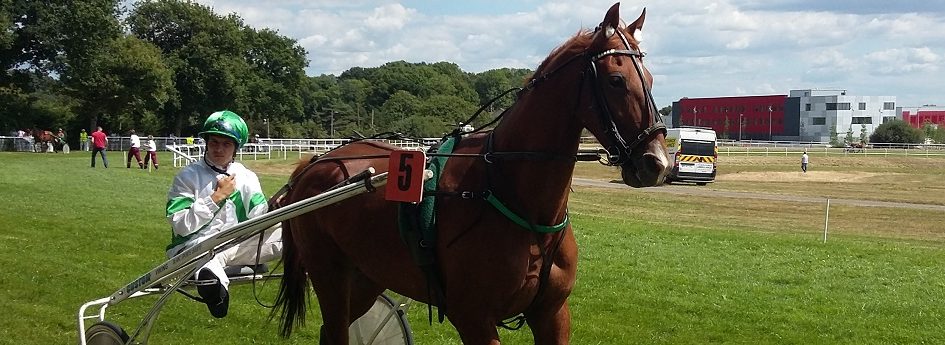 Prix du Limousin - course pmu du mardi 10 janvier 2017