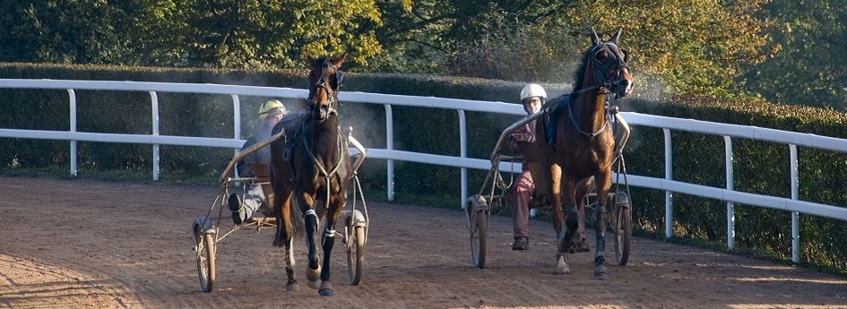 Prix Grace Ducal - course pmu du mardi 7 février 2017
