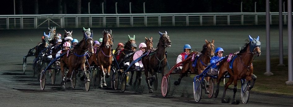 Prix Amalthea - course pmu du 31 mars 2017