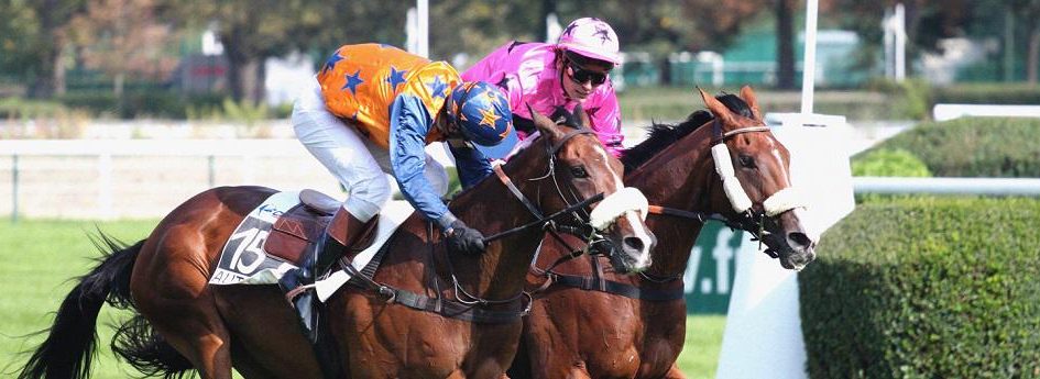 Prix Prédicateur - course pmu du 18 mars 2017