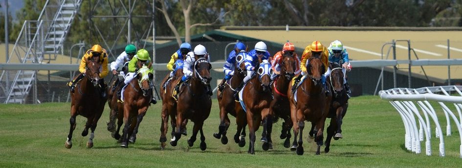 Prix Dunette - Course pmu du 19 mars 2017