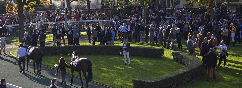 Prix Sagaro - course pmu du 21 mars 2017