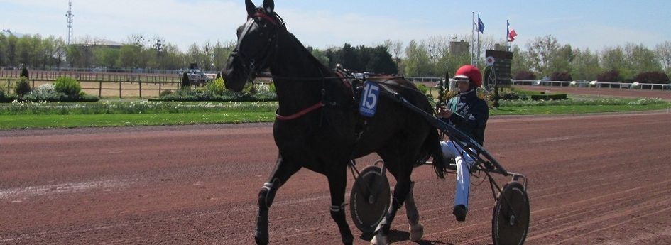 Prix de Stockholm - course pmu du vendredi 3 mars 2017