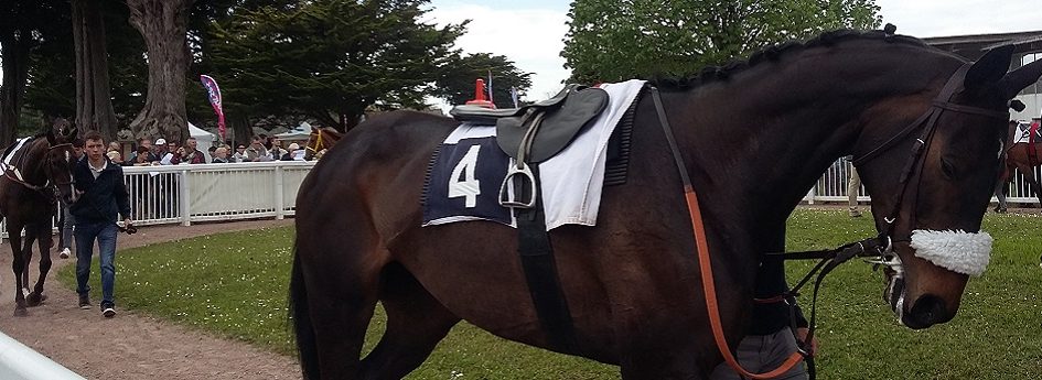 Prix d'Auxerre - course pmu du 25 avril 2017