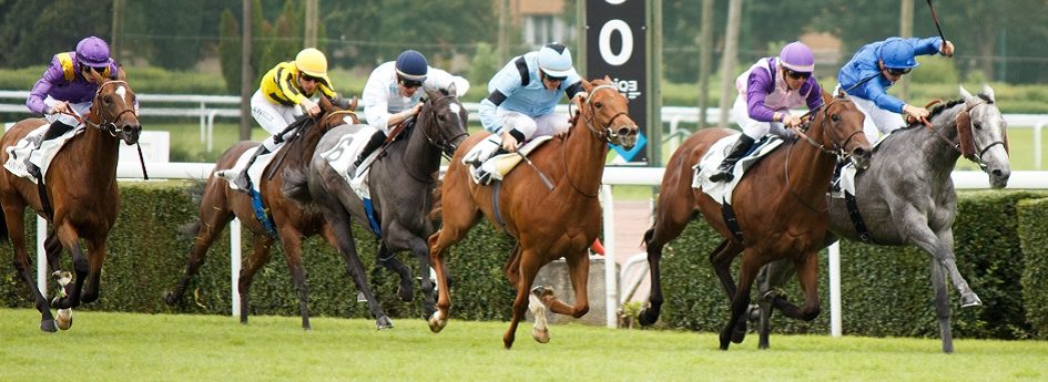 Prix d'Alsace - course pmu du 15 mai 2017