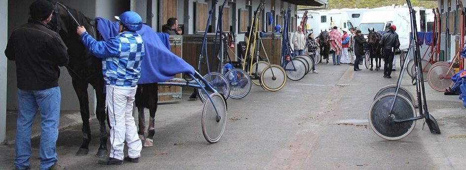 Prix de Clerlande - course pmu du 16 mai 2017