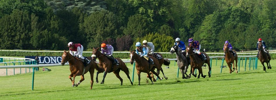 Prix de la Forêt de Fontainebleau - course pmu du 18 mai 2017