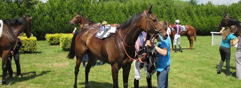 Prix du Béarn - course pmu du 2 juillet 2017
