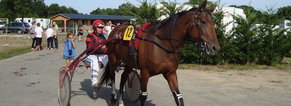 Prix Bertrand Deloison - course pmu du 25 juin 2017
