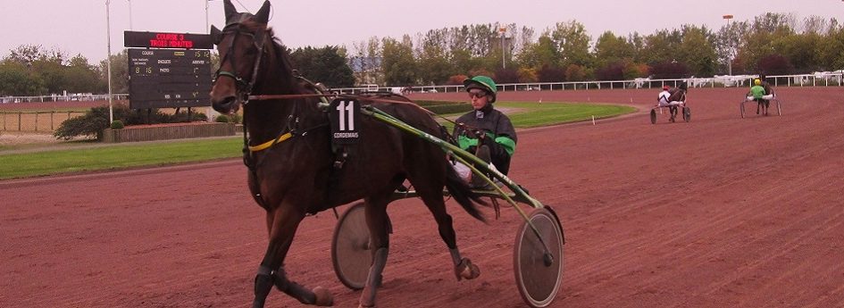 Prix Bruno Coquatrix - course pmu du 11 aout 2017