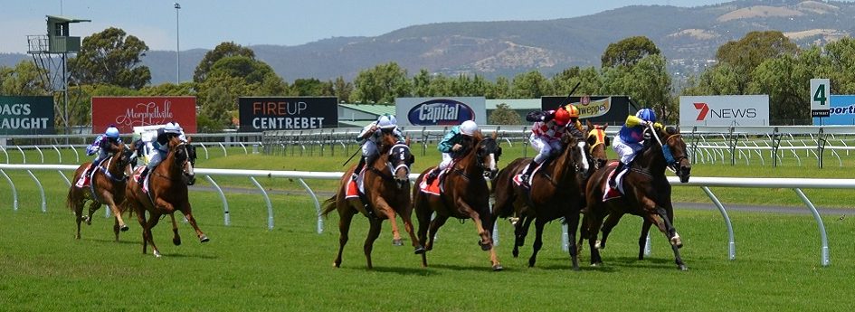Prix de la Ville de Maisons-Laffitte - course pmu du 16 juillet 2017
