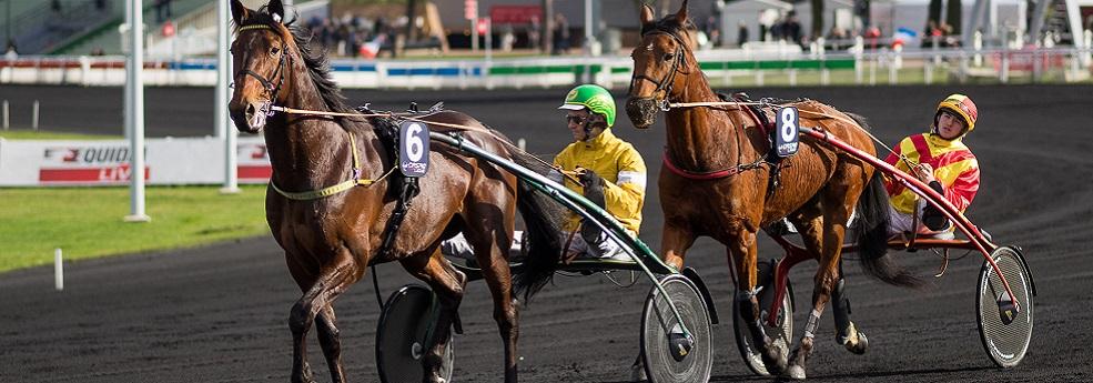 Quinte Du 19 Decembre 2017 Prix De La Tremblade