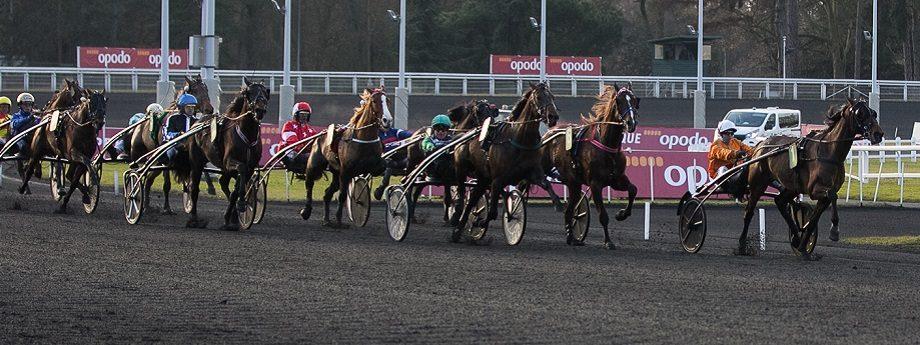 Quinte Du 19 Septembre 2019 A Vincennes