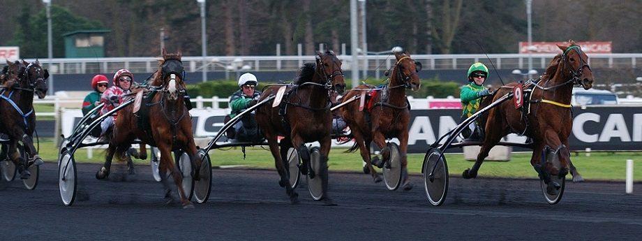 Quinte Du 17 Novembre 2019 A Vincennes