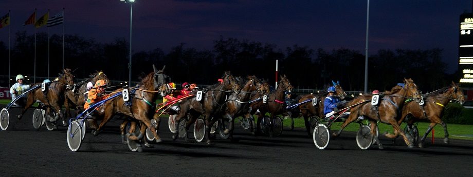 chevaux trotteur a vendre sur paris turf