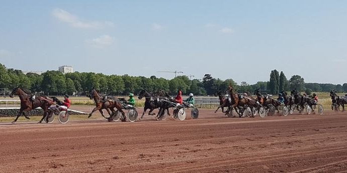Comment bien utiliser le pronostic quinté de Fréquence Turf ?