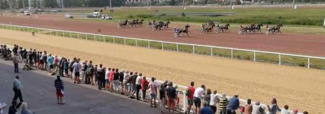 Tiercé Quarté Quinté PMU du samedi 4 juillet 2020