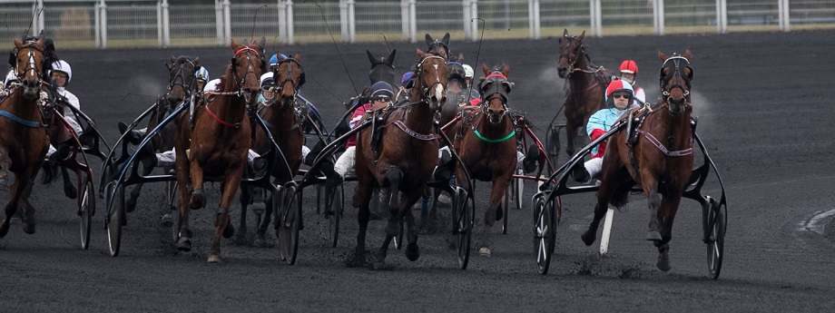 Tierce Quarte Quinte Pmu Du Dimanche 13 Decembre 2020