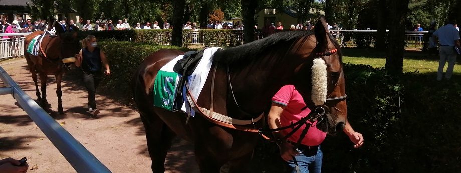 Tierce Quarte Quinte Pmu Du Jeudi 17 Decembre 2020