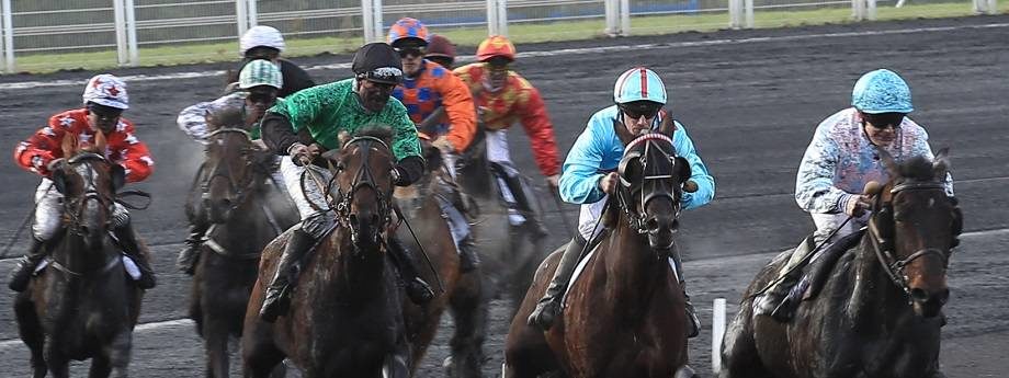 Tierce Quarte Quinte Pmu Du Dimanche 24 Janvier 2021