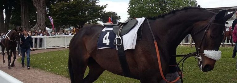 Pronostic Quinté PMU du mardi 2 mars 2021 à Chantilly