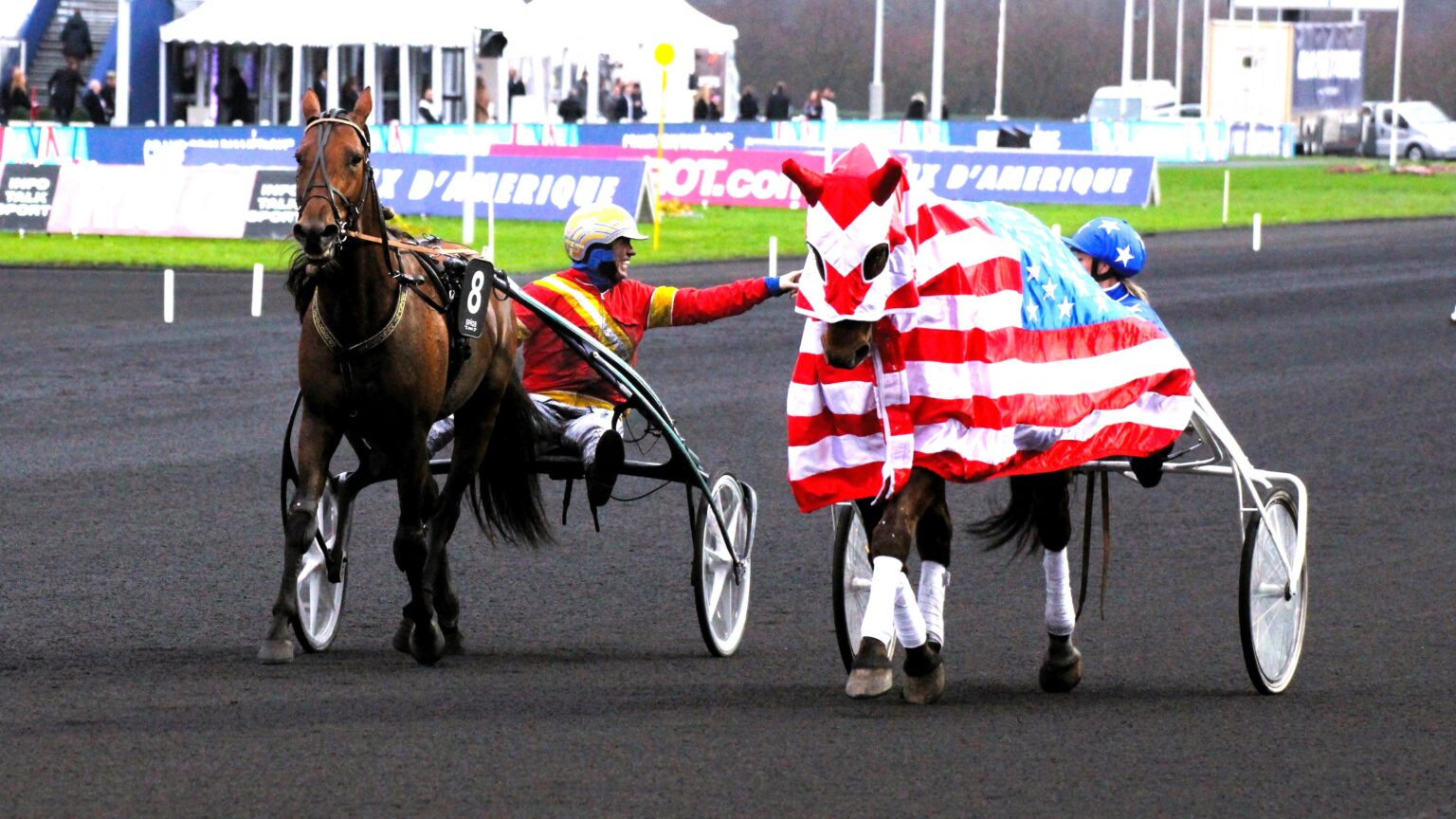 Prix d Amérique Quinte PMU du dimanche 28 janvier 2024