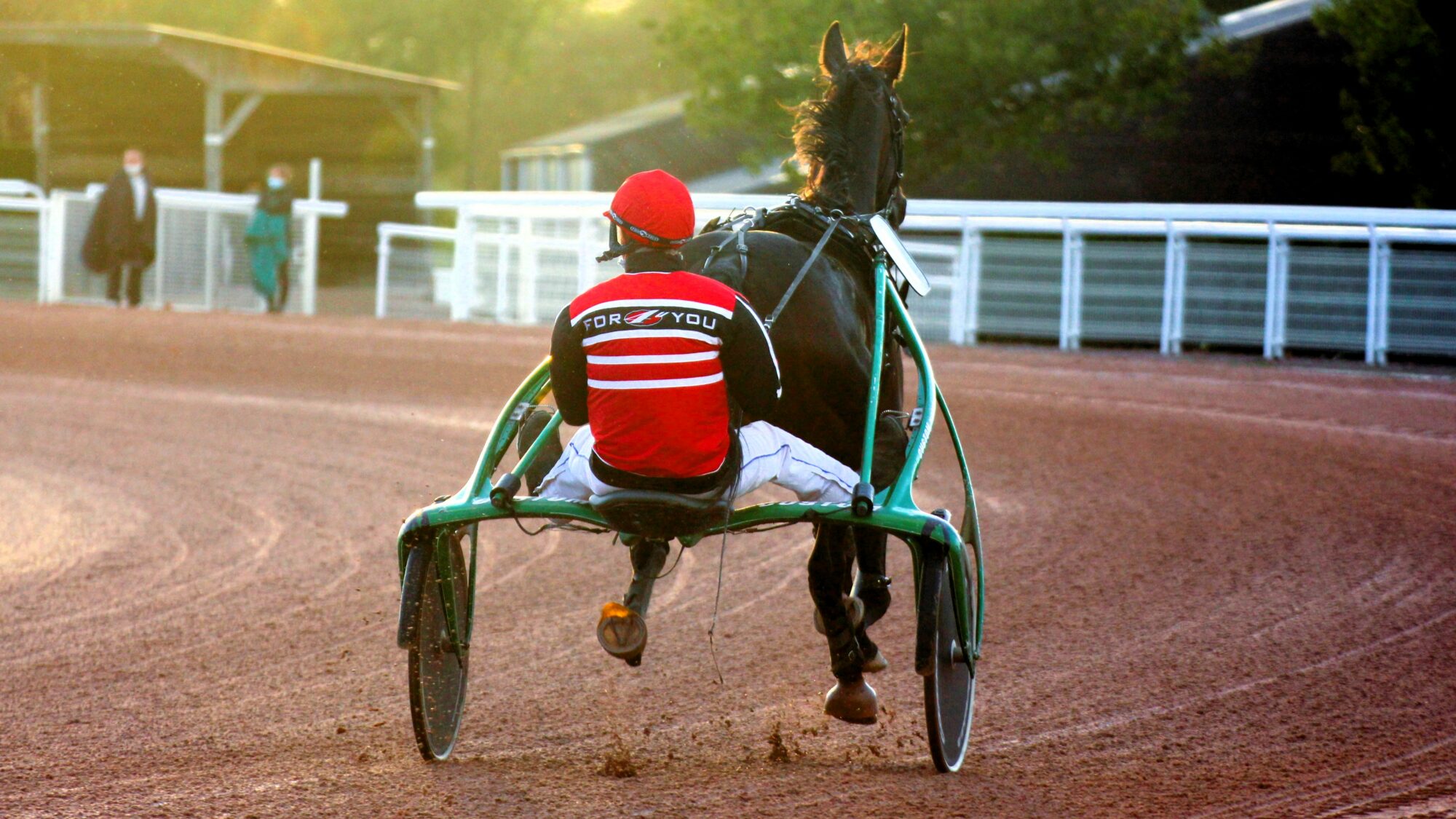 Pronostic PMU jeudi 29 02 2024 4 bases pour votre Quinté