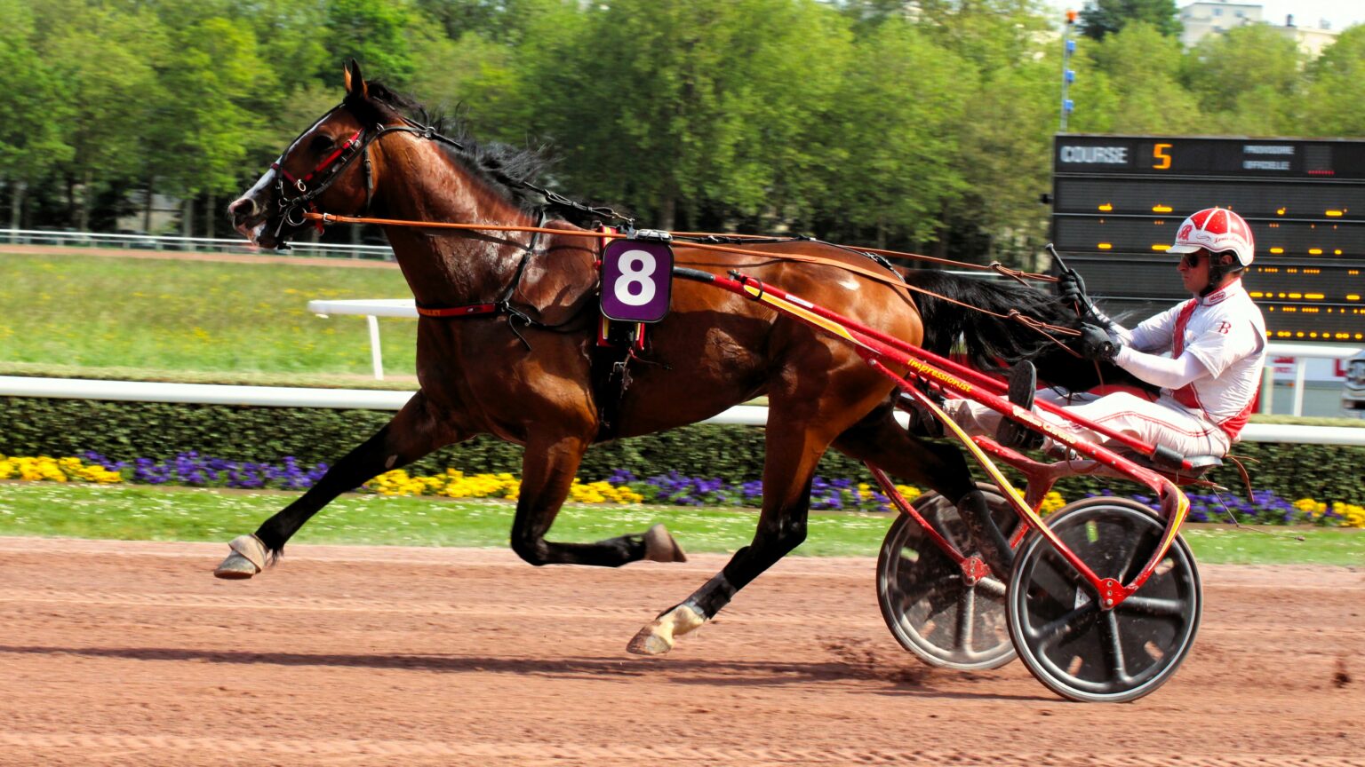 Quint Du D Cembre Cagnes Sur Mer