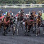 Grand prix Angers Loire Métropole - Course pmu du 06 avril 2016