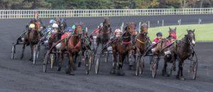 Grand prix Angers Loire Métropole - Course pmu du 06 avril 2016