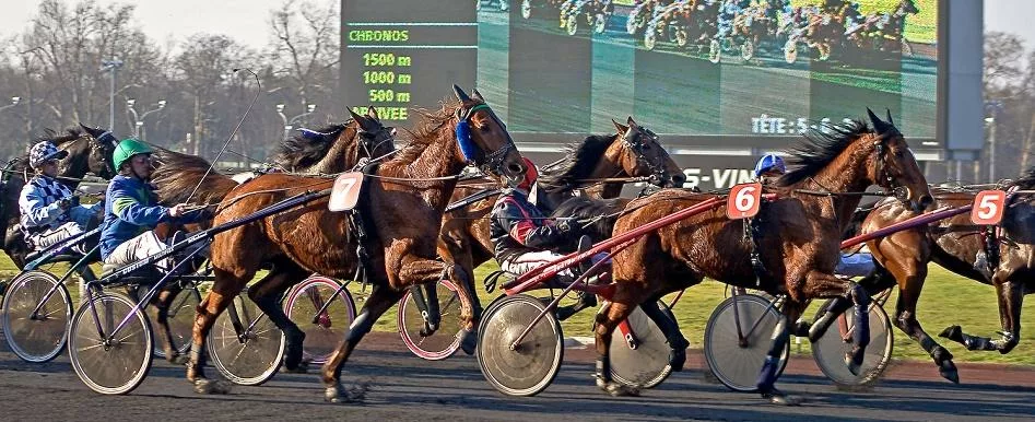 Prix Crépuscule - Course pmu du 27 mai 2016