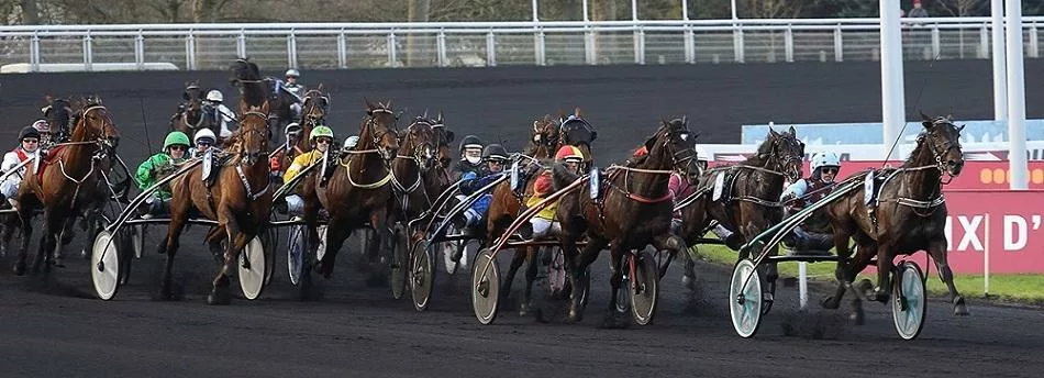 Analyse du quinté