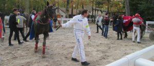 Grand Prix Dynavena - course pmu du 23 mars 2016