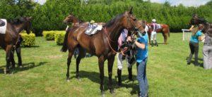 Poule d'essai des pouliches - course pmu du 15 mai 2016