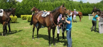 Poule d'essai des pouliches - course pmu du 15 mai 2016