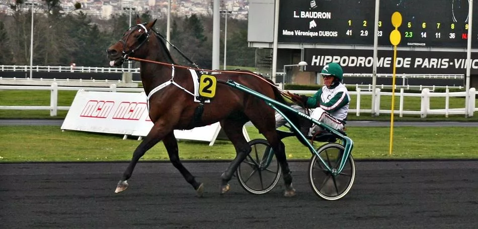 Prix Léo - Course pmu du 13 mai 2016