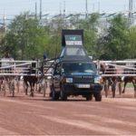 Prix Pierre Coulon - Course pmu du 30 juin 2016