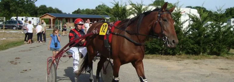 Prix de Vincennes - Course pmu du 6 juillet 2016