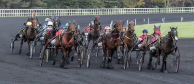 Prix des Cardamines - course pmu du 19 août 2016
