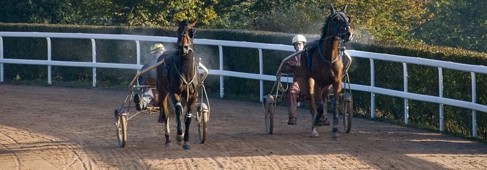 Prix Austria - course pmu du 30 septembre 2016
