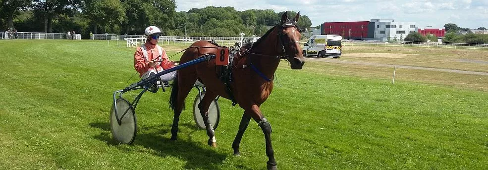 Prix de Clermont-Ferrand - Course pmu du 25 septembre 2016