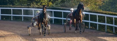Prix de la ville de Feurs - course pmu du 10 octobre 2016
