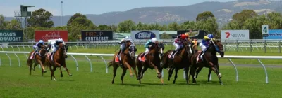 Handicap d'Angers - course pmu du mercredi 16 novembre 2016