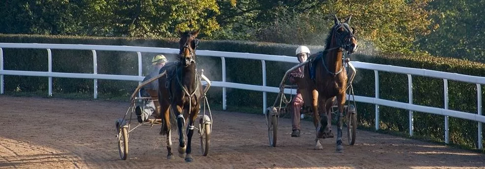Prix Albert Suis - course pmu du mardi 15 novembre 2016