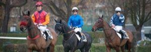 Prix François de Ganay - course pmu du samedi 19 novembre 2016