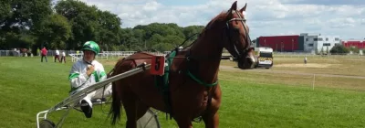 Prix de Cognac - course pmu du 10 novembre 2016