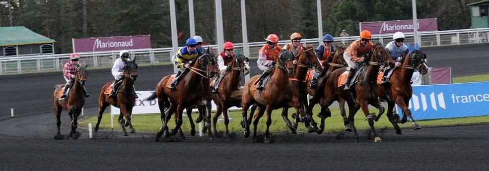 Prix de Cornulier - course pmu du dimanche 22 janvier 2017